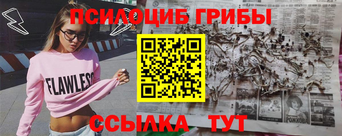 Псилоцибиновые грибы ЛСД  Псилоцибиновые грибы ЛСД  Вход с VPN  Канаш 