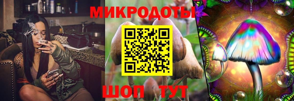 Псилоцибиновые грибы Psilocybe Канаш